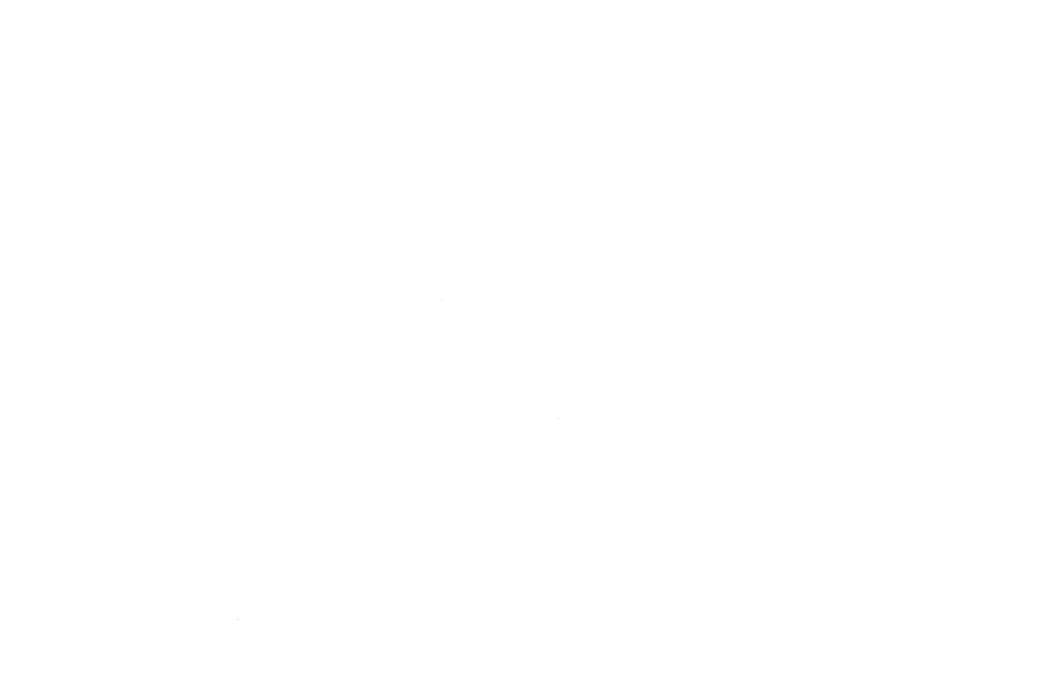 Hyundai white300